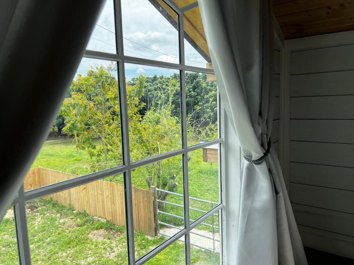 Pensjonat Maria'S Tiny Barn Homestead Zewnętrze zdjęcie
